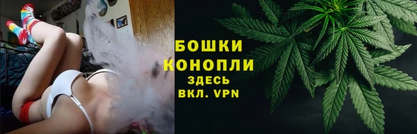 круглые Карпинск