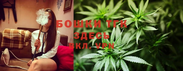 круглые Карпинск