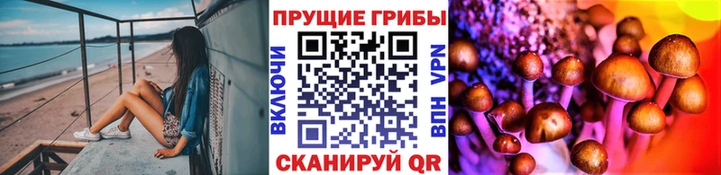 Галлюциногенные грибы Psilocybine cubensis  Кущёвская 